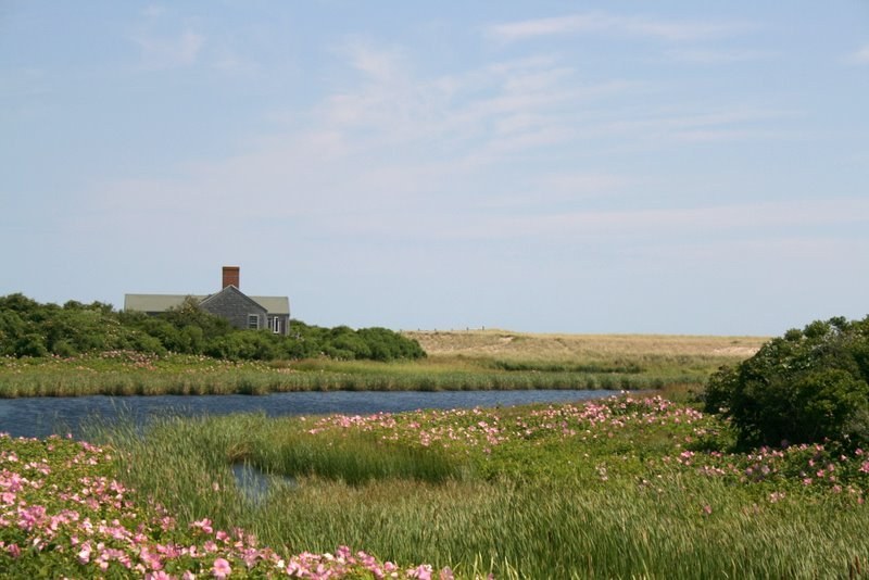 Homes for Sale in Squam Windwalker William Raveis